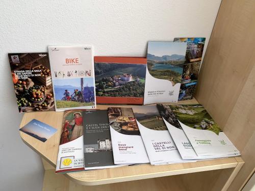 a shelf with books and pictures on it at Casa Martina in Malosco