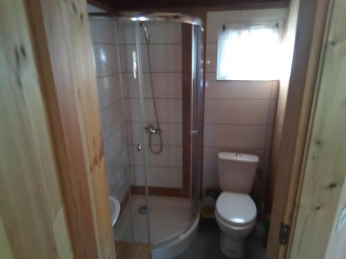 a bathroom with a shower with a toilet and a sink at Domki nad Sanem in Lesko