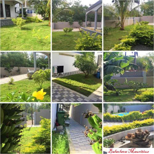 a collage of photos with trees and plants at Serenity Villa in Balaclava