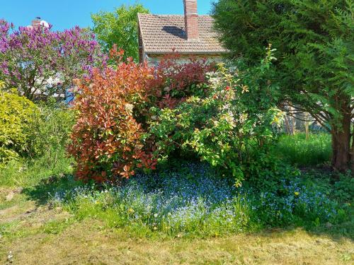 a garden with a bunch of flowers in the grass at Chez Robins in Trie-Château