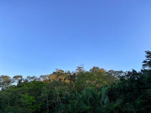 a group of trees with a blue sky in the background at Hotel Vista de Olas in Santa Teresa Beach