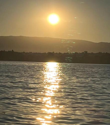 Φυσικό τοπίο κοντά σε αυτό το διαμέρισμα
