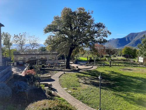 a park with a tree and a stone bridge at Bed & Breakfast Villa Monterosso in Sassoferrato