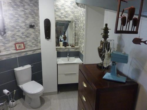 ein Bad mit einem WC und einem Waschbecken in der Unterkunft Beaux Chênes in Nérac