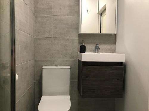 a bathroom with a toilet and a sink and a mirror at Bijou Annexe, Sea View, Private Entrance & Parking - FOLKESTONE in Folkestone