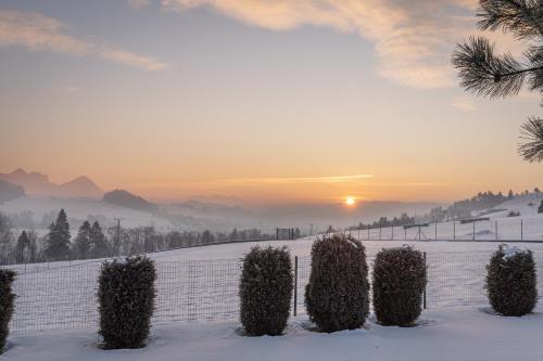 a snow covered field with trees and the sunset at REZYDENCJA SPISZ dom 12 osób, podgrzewany basen, sauna, jacuzzi- velo Czorsztyn, Niedzica in Niedzica Zamek