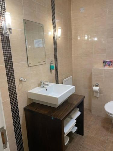 ein Bad mit einem Waschbecken und einem WC in der Unterkunft The Castledawson Inn in Magherafelt