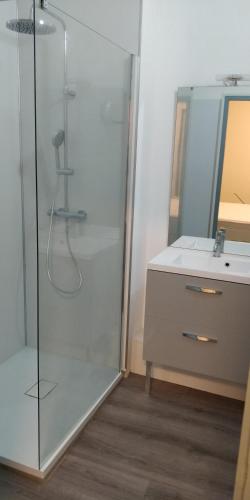 une salle de bain avec douche et lavabo dans l'établissement Appartement des cordeliers avec parking, à Albi