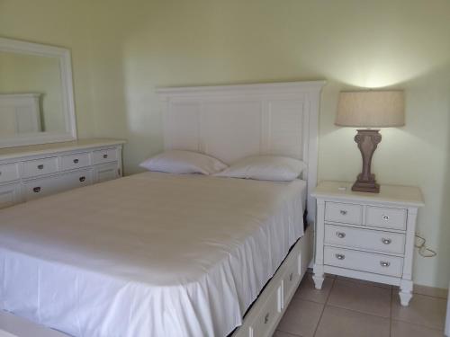 a bedroom with a bed and a lamp and a mirror at Abigail's Sunflower Entire 2 Bedroom Apt in Tortola Island