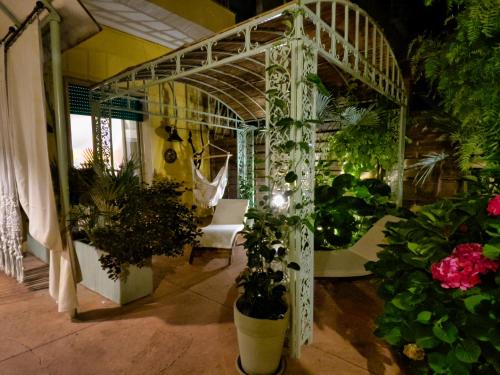 Siwa Home Experienceにある庭