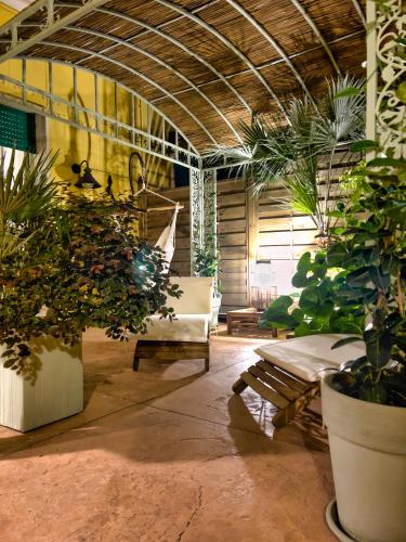 Siwa Home Experienceにある庭