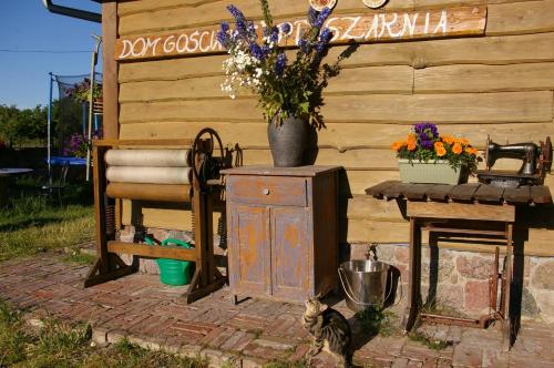 a cat sitting next to a wooden wall with flowers at DOM GOŚCINNY PTASZARNIA - NATURA-Free PARKING in Świnoujście