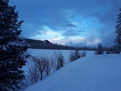 a snow covered field with a barn in the background at Apartmán v Starej Lesnej s balkónom in Stará Lesná