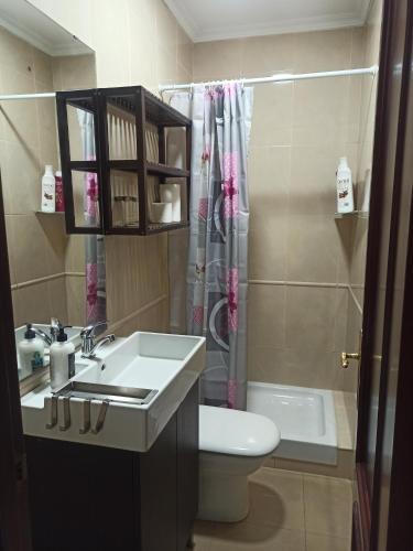 カディスにあるDuplex Cadiz Centroのバスルーム(洗面台、トイレ、シャワー付)