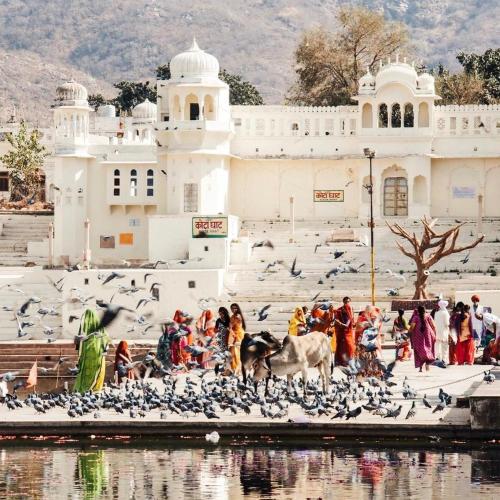 a group of people standing in front of a building with birds at Hotel Kota kunj Heritage in Pushkar