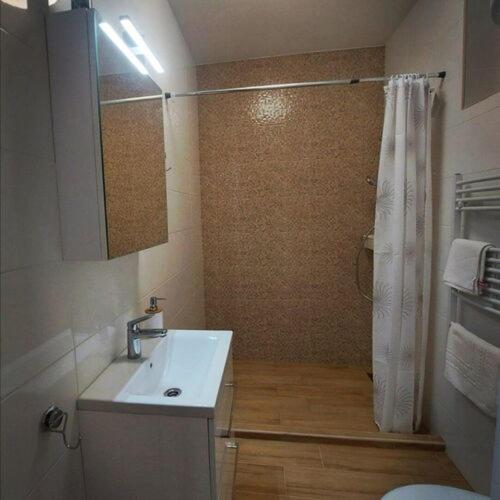 W łazience znajduje się biała umywalka i prysznic. w obiekcie Kis Ház Apartman w mieście Szigetvár
