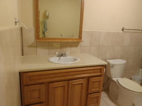 a bathroom with a sink and a toilet and a mirror at Abigail's Sunflower Entire 2 Bedroom Apt in Tortola Island
