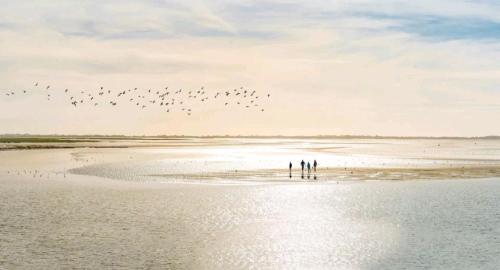a group of people standing on a beach with a flock of birds at Maison confortable, terrasse et jardin à Amiens in Amiens