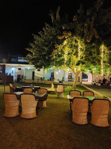 a group of tables and chairs under a tree at night at Hotel Kota kunj Heritage in Pushkar