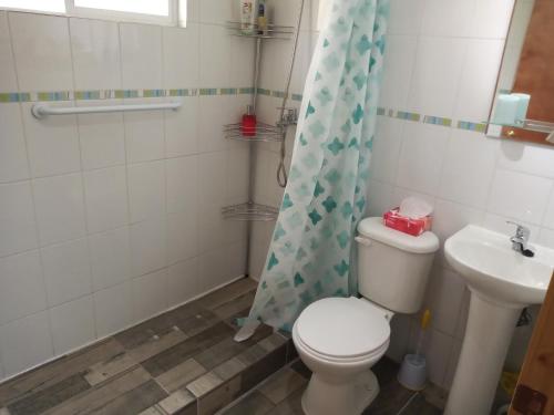 uma casa de banho com um WC e um lavatório em Cabaña Turismo EL SUSURRO em Coihaique