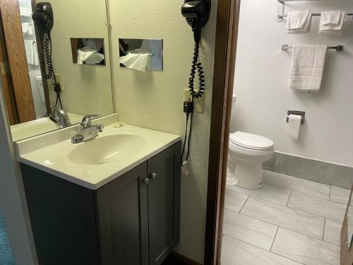 a bathroom with a sink and a toilet at Heritage Inn Hotel in Watertown