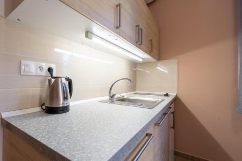 a kitchen with a sink and a counter top at Apartmány Pod Kolonádou in Janske Lazne