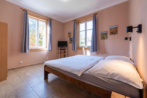 a bedroom with a bed and two windows at Apartmány Pod Kolonádou in Janske Lazne