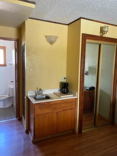 a bathroom with a sink and a toilet and a mirror at Western Holiday Lodge in Three Rivers