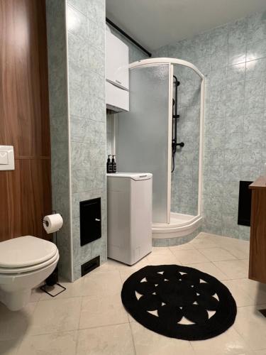 a bathroom with a toilet and a shower and a rug at Apartmani Paula 