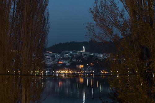 a view of a city at night from a lake at view kastoria in Kastoria