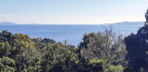 - une vue sur l'océan depuis une colline arborée dans l'établissement Villa l'Escapade, à Rayol-Canadel-sur-Mer