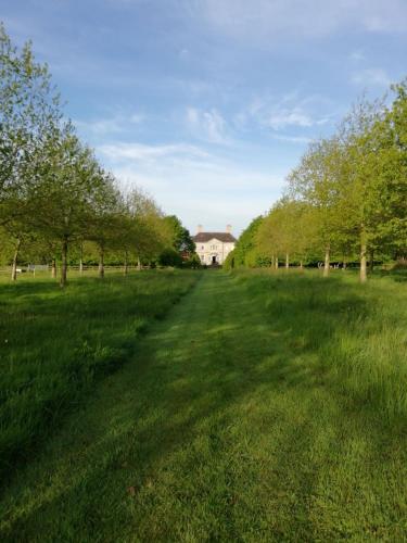 a green field with trees and a house in the background at Summergrove House in Mountmellick