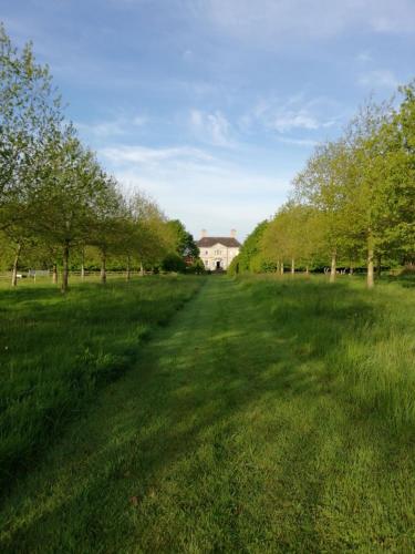 Zahrada ubytování Summergrove House