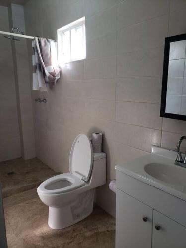 a white bathroom with a toilet and a sink at Petit y comodo loft en la ciudad. in Monterrey