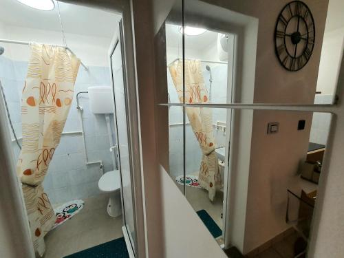 Vonios kambarys apgyvendinimo įstaigoje Negotin Centar Apartment with Parking