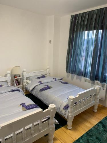 Ένα ή περισσότερα κρεβάτια σε δωμάτιο στο Ski Monti