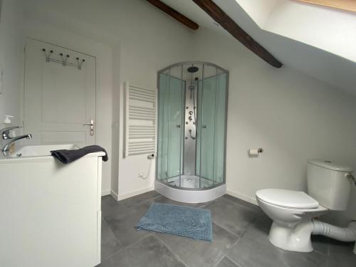 La salle de bains est pourvue d'une douche en verre et de toilettes. dans l'établissement Cattleya location, à Vierzon