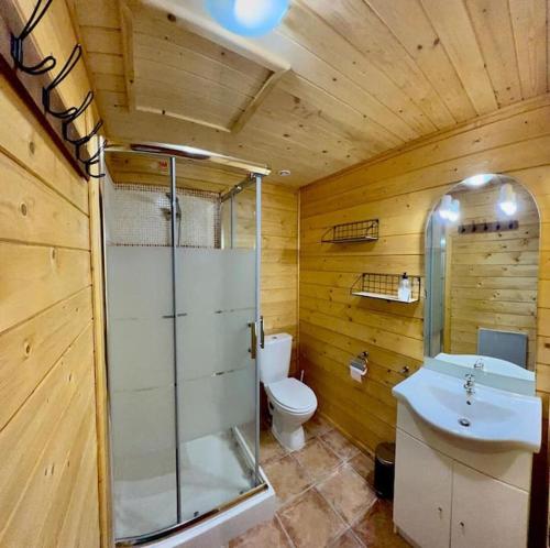 ein Bad mit einem WC, einer Dusche und einem Waschbecken in der Unterkunft Chalet 6B dans les Pyrénées proche d'Andorre in LʼHospitalet-près-lʼAndorre