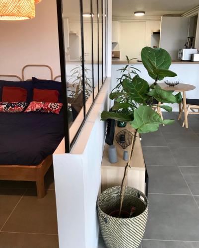 a room with a bed and plants in it at Chez Isa, loft 55m2, jardin, vue, parking, entrée autonome in Ceyrat