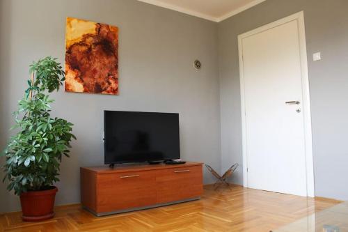 A television and/or entertainment centre at Comfortable apartment near the City Center