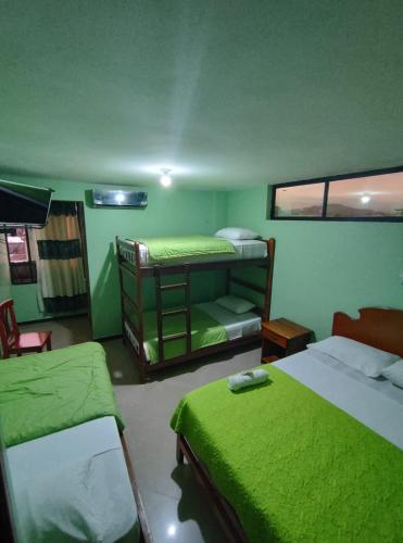 テナにあるHostal BAMBUの緑の壁のベッドルーム1室(二段ベッド2組付)
