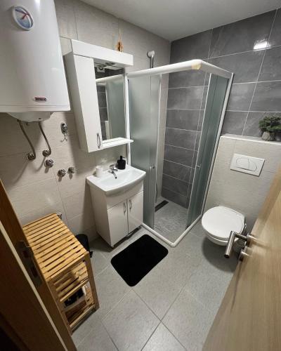 a bathroom with a shower and a toilet and a sink at Zlatiborske Noći in Zlatibor