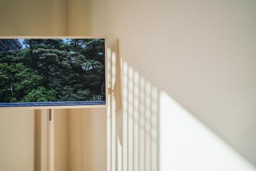 a window with a view of a tree at IJE Gyeongju in Gyeongju