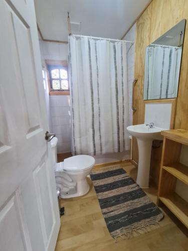 uma casa de banho com um WC e um lavatório em Cabañas Quilquico em Quilquico