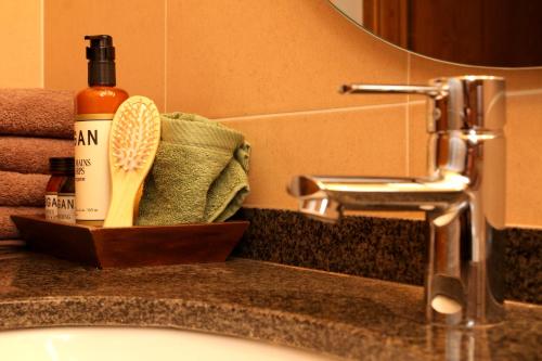 un lavandino in bagno con una bottiglia di sapone e una spazzola di Apartaments Lo Paller a València d'Àneu