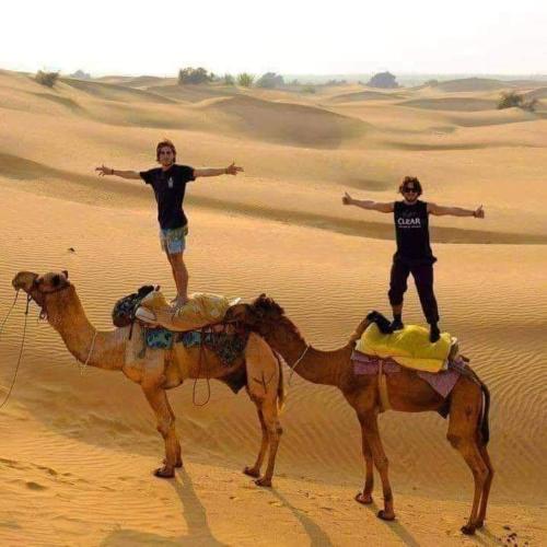 Desert galaxy camp Jaisalmer – Photos 5