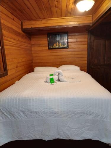 Un dormitorio con una cama blanca con una caja verde. en Tail's room, en San Gerardo de Dota