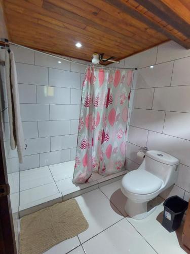 a bathroom with a toilet and a shower curtain at Tail's room in San Gerardo de Dota