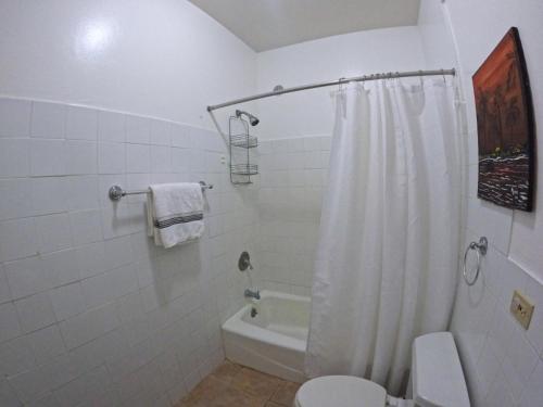 a bathroom with a white shower curtain and a toilet at Beachfront Apartment In Joyuda With Pool And Basketball Court in Cabo Rojo