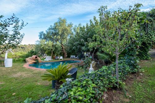 un patio trasero con piscina y árboles en Mare MaravellaThis is the Live, en Tordera